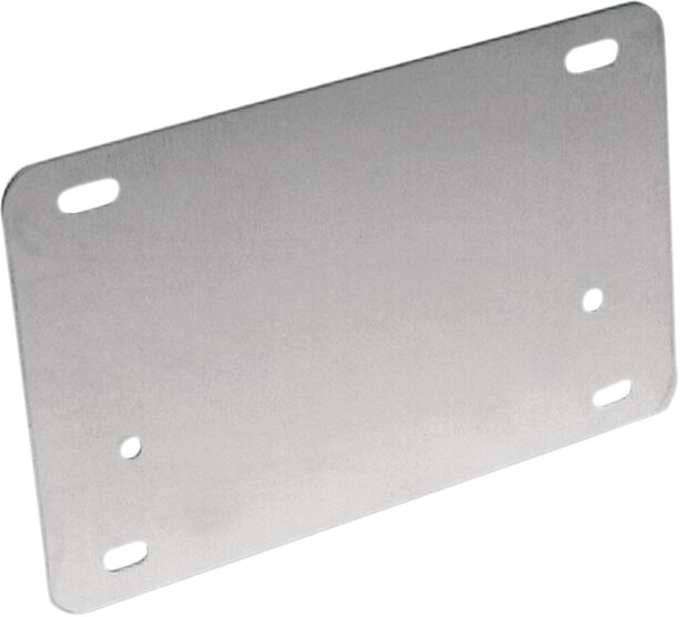 BACKING PLATE LICENSE S/S