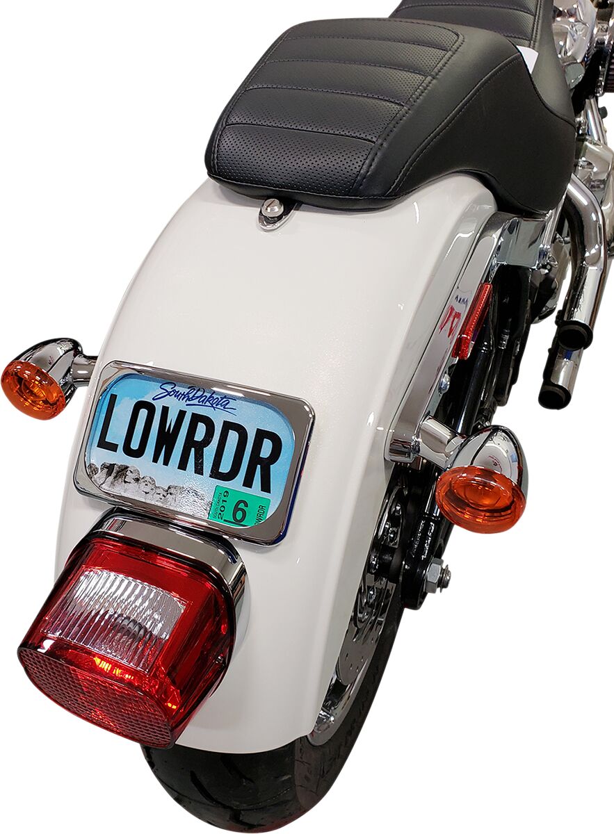 MOUNT LIC PLT RADIUS WIDE