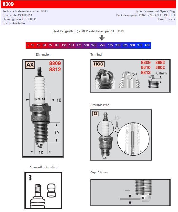 CHAMPION S-PLUG 8809