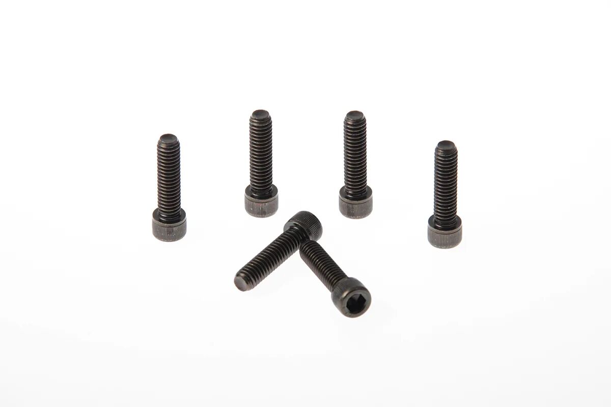 FORK TRIPLE CLAMP SCREWS