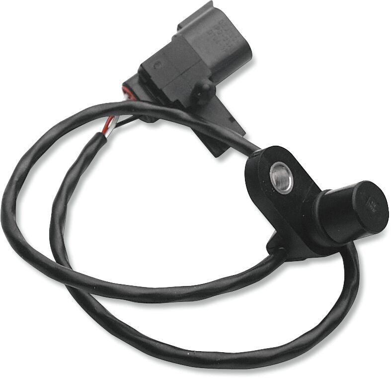 DS243612 product image